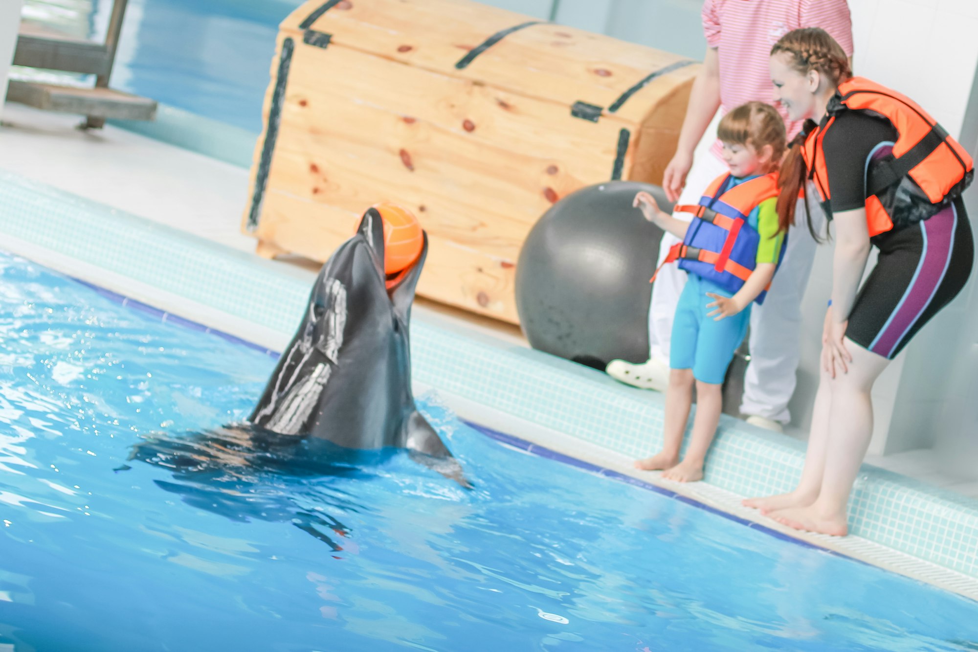 a young woman with her daughter in a dolphinarium swim with dolphins, outdoor activities, therapy