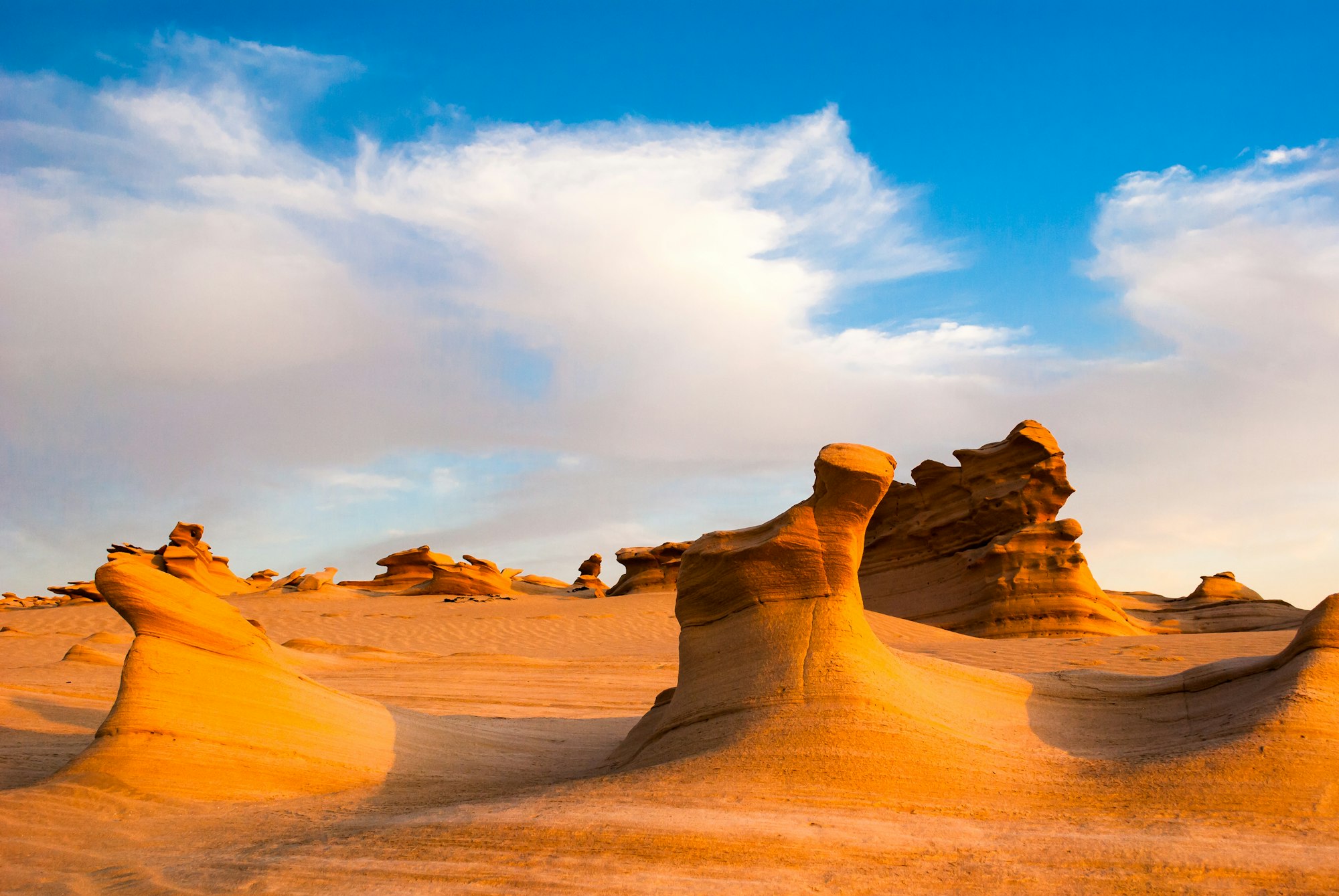 Desert sand fossils which are weathered because of the wind patterns and environmental conditions.