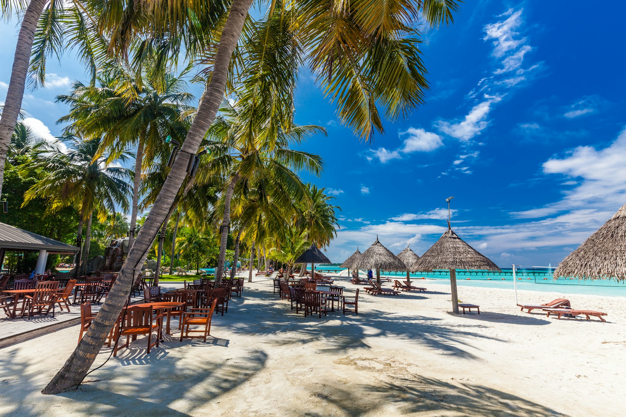 Tropical beach in Maldives with palm trees and vibrant lagoon