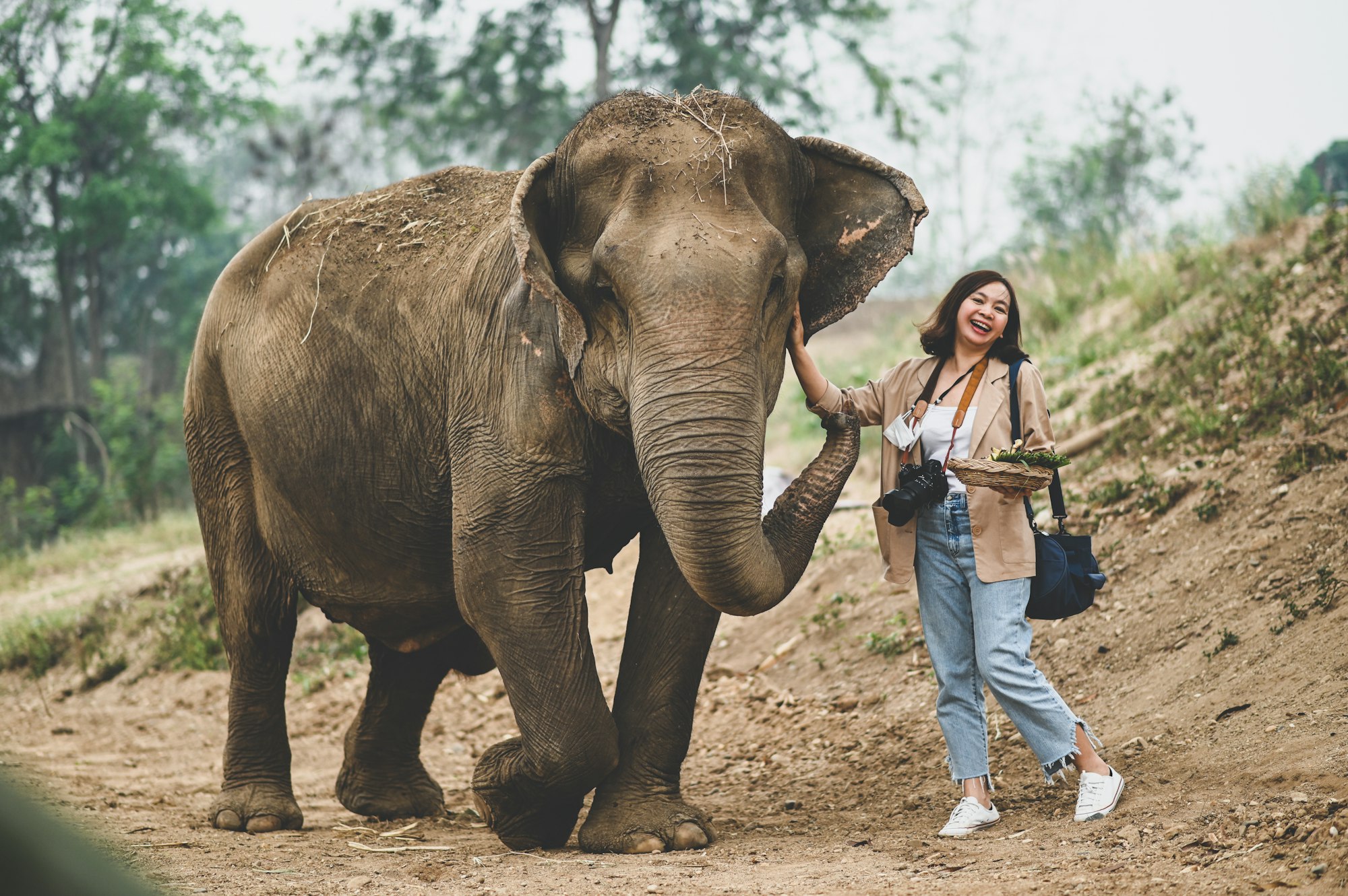 Female tourists feed the elephants in a fun manner.