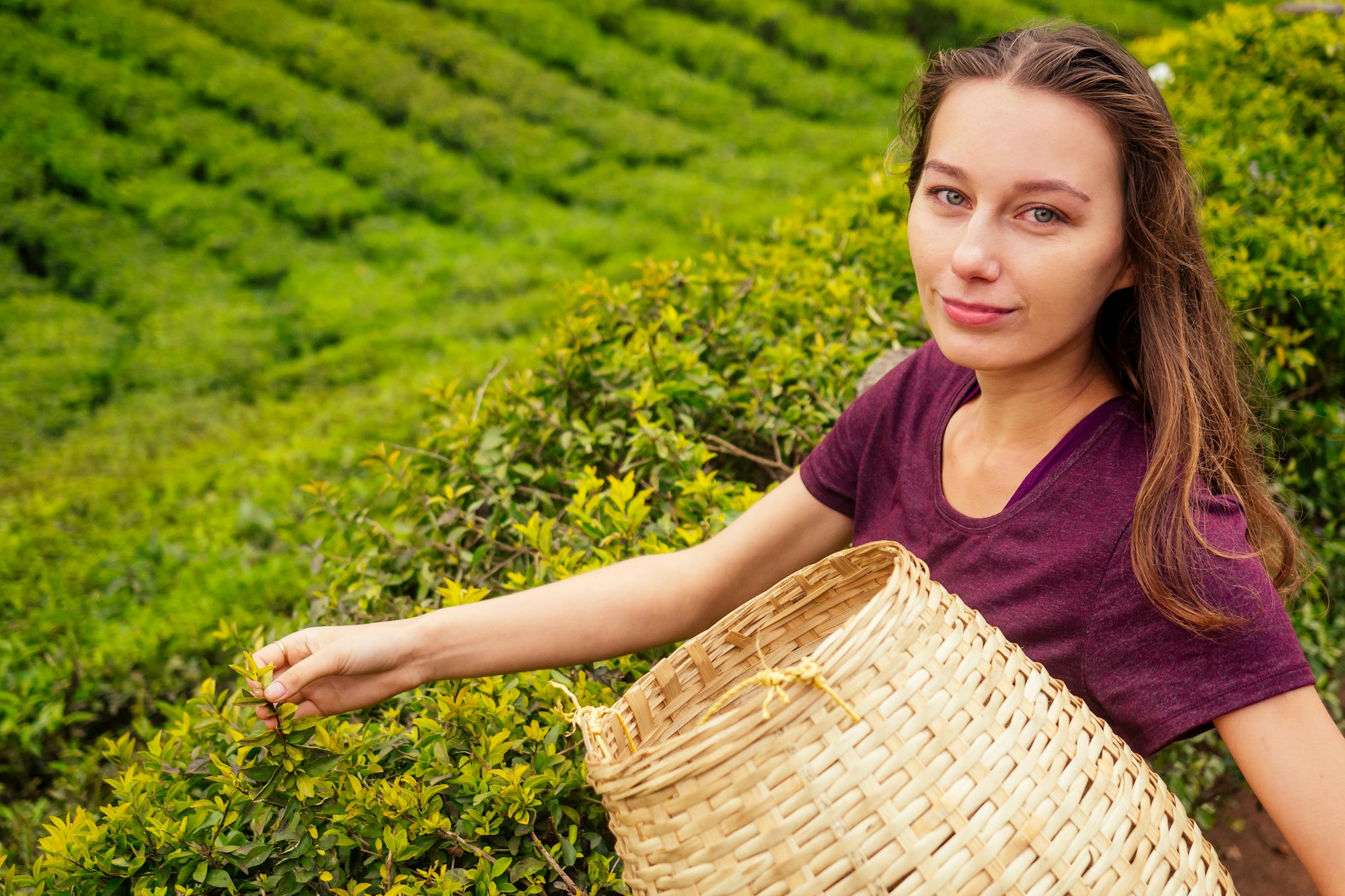 tourist caicasian woman with straw basket in India Munnar Kerala plantations