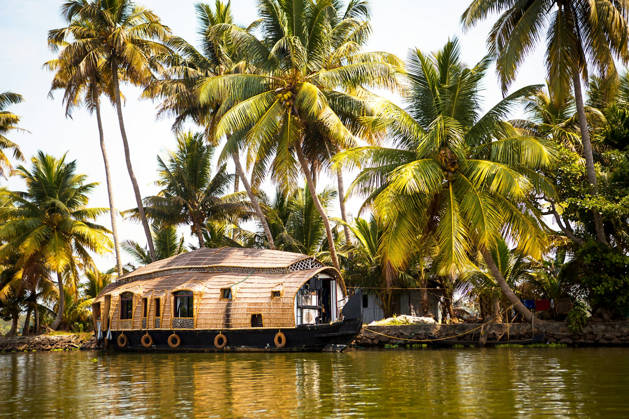 House-boat pleasure cruise ship in India, Kerala on the seaweed-covered river channels
