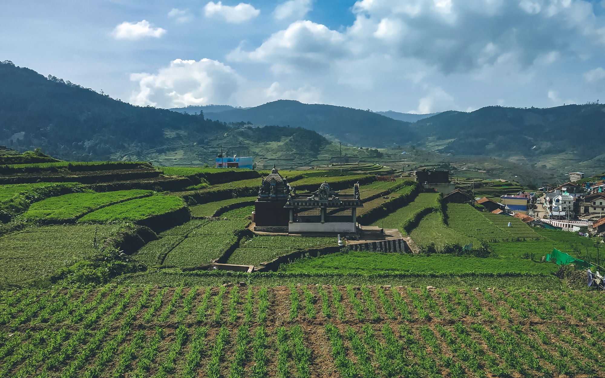 Step farming...._Kodaikanal tour packages