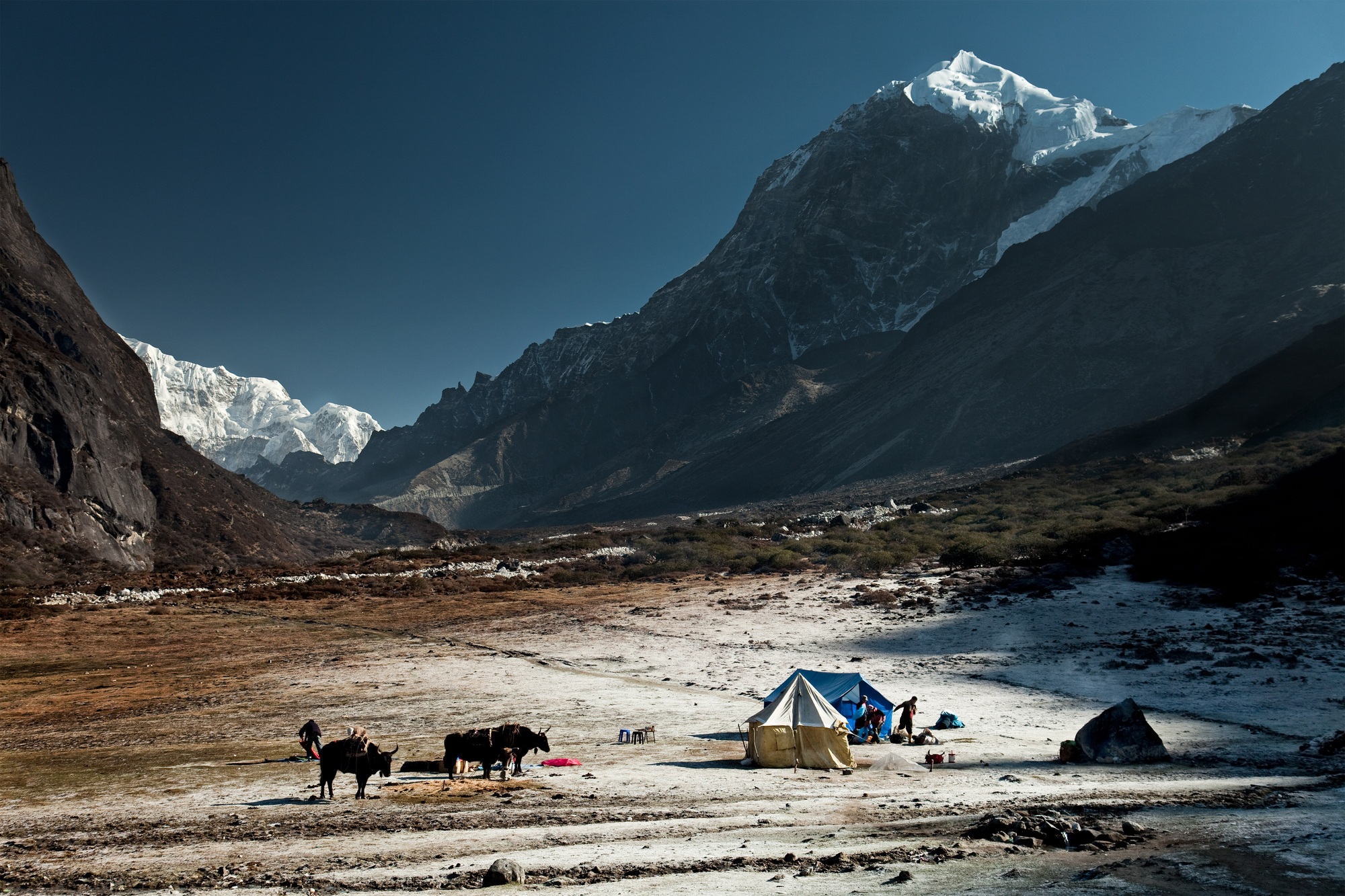 Thangsing, Himalayan Kanchenjungs Region, Sikkim, India